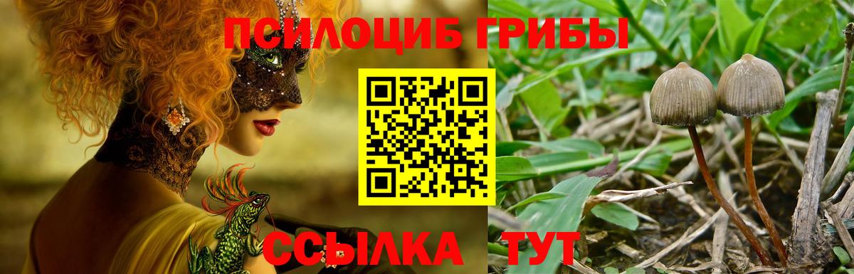 Псилоцибиновые грибы Cubensis  Вход с VPN  Еманжелинск 